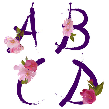 Vector spring alphabet with gentle sakura flowers letters A,B,C,D like written by inkのイラスト素材