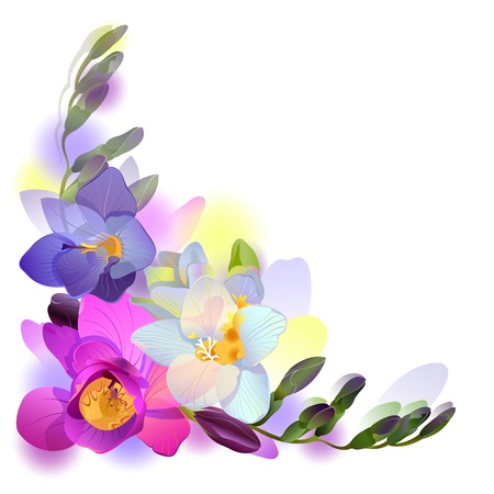 greeting background with pictorial freesia flowers.jpgのイラスト素材
