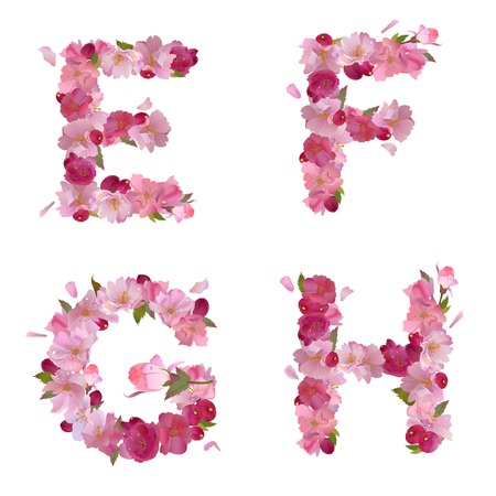spring alphabet with gentle pink sakura flowers letters E,F,G,Hのイラスト素材