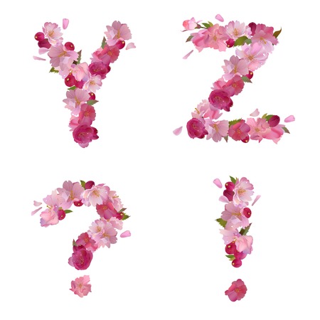 spring alphabet with gentle pink sakura flowers letters Y,Z and punctuation marksのイラスト素材