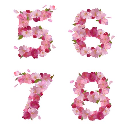 Vector figures 5,6,7,8 with gentle pink spring sakura flowersのイラスト素材
