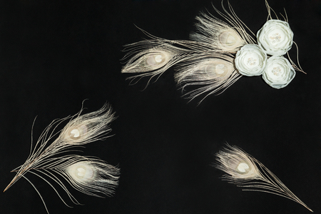 Black Retangular Horizontal Background With Handmade Gentle White Ranunculus Flowers and Peacock Feathers, Lying Flat, Top View. Have an Empty Place For Your Text.の写真素材