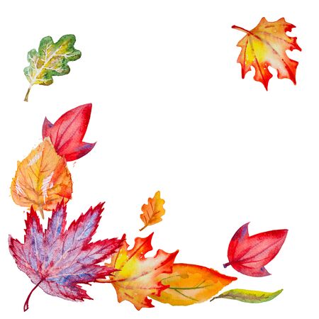Composition with bright hand drawn watercolor orange,yellow,green,red and vinous leaves,isolated on the white backgroundの写真素材