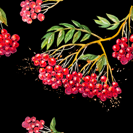 Vector seamless background with rowanberry branchのイラスト素材