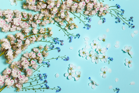 Mint horizontal background with spring flowersの写真素材