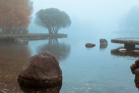 Foggy autumn landscape with orange trees,lake and stoneの写真素材