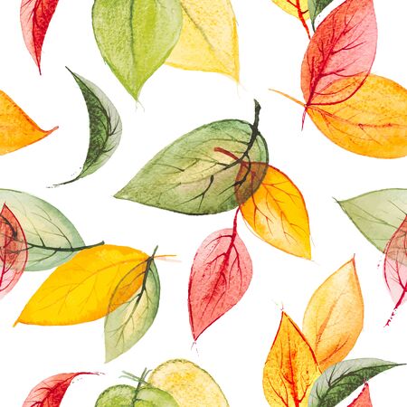 Watercolor vector seamless print with autumn leavesのイラスト素材