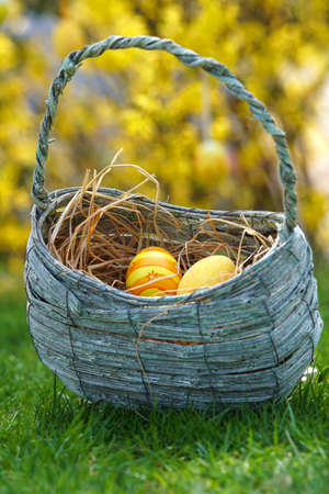 Easter nest on the meadow with gorse in the background