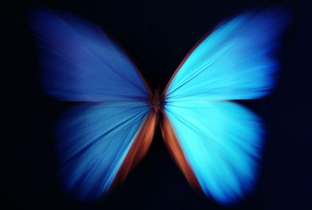 Beautiful butterfly blue abstract with zoom effect - morphoの写真素材