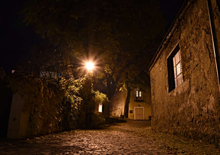 night streetのeditorial素材