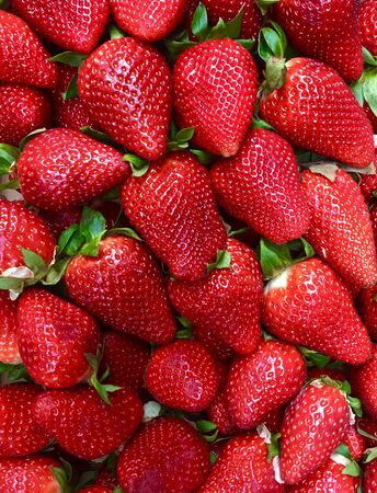 delicious red strawberries ready to enjoy