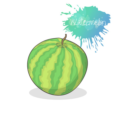 Watermelon icon isolated on a white background.Summer fruit illustration hand draw in doodle styleのイラスト素材