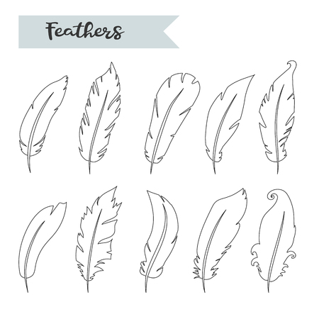 Vector feathers icon,sign,symbol, set,collection isolated on a white background.Bird feathers.Black silhouette fluffy feathers over whiteのイラスト素材
