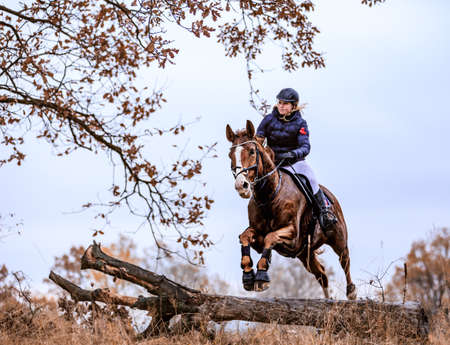 St. Hubertus ride in fall - hunt of fox Czech republicのeditorial素材
