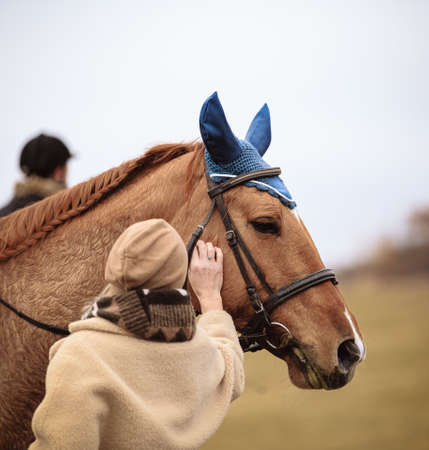 St. Hubertus ride in fall - hunt of fox Czech republic