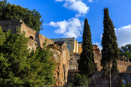 Rome, Italy at the Arch of Constantine and the Colosseum, Forum Romanum, Vatican, Europeのeditorial素材