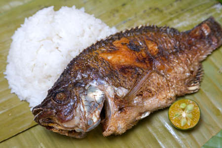 Filipino traditional dish: fried philippine tilapia fish with riceの写真素材