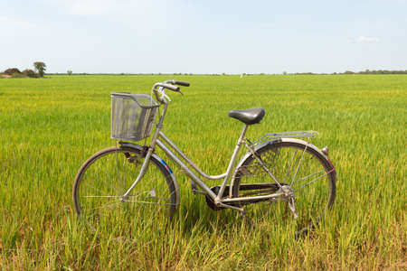 Retro vintage bicycle in green field. Relaxing summer day in the countrysideの写真素材