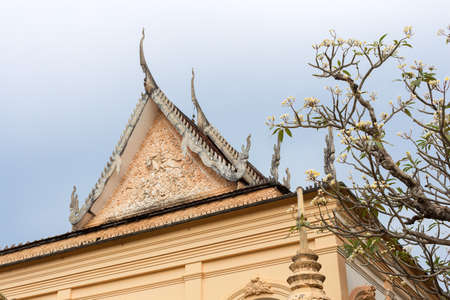 Flower tree in the garden of a temple in Siem Reap, Cambodia, blue skyの写真素材