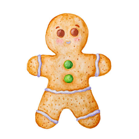 Hand drawn watercolor drawing of Christmas gingerbread man on white background, isolatedの写真素材