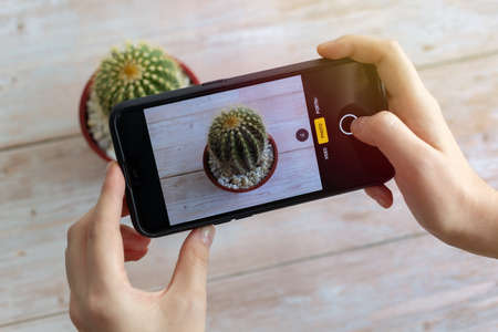Close up of hands holding phone and taking picture photo of a cactus plant. Modern mobile photography conceptの写真素材
