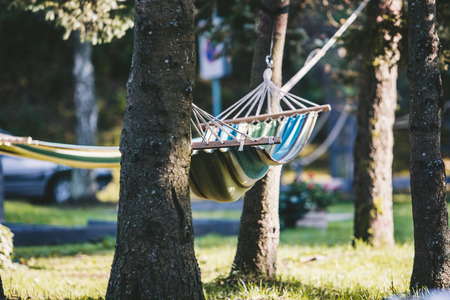 sunny day hammock hang out in a parkの写真素材