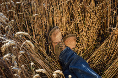 Low section unrecognizable man wearing rustic boots and blue denim jeans, lying in ripe wheat field...