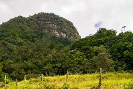 Forest, mountain, clouds and sky landscapeの写真素材