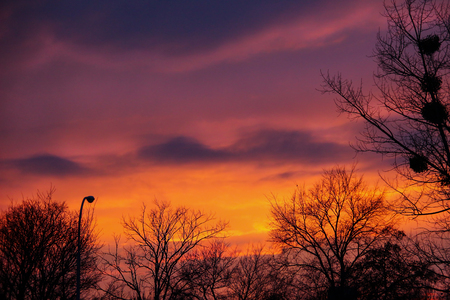 very beautiful sunset in the park, colorful, treesの写真素材