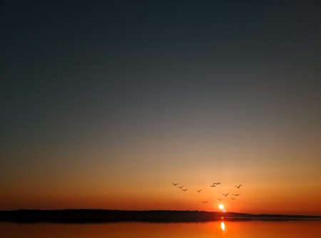 flying birds against the background of the sunset over the riverの写真素材