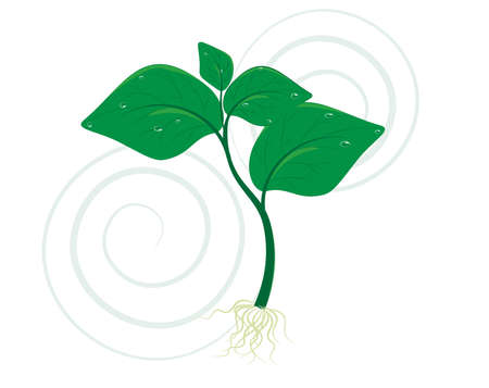 Illustration of a young sprout. A young sprout, a symbol of the new beginning of life. Green sprout brings to the nature beautiful trees, flowers, oxygen.のイラスト素材