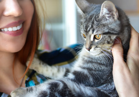 A smiling woman gently cradles a focused gray tabby cat by the neck, her warm expression conveying a caring bond as the cat attentively looks to the right against a softly blurred background.の写真素材