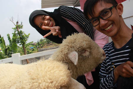 portrait of an asian man and woman holding a camera in a goat farm. togetherness in a romantic and happy relationship while on vacationの写真素材