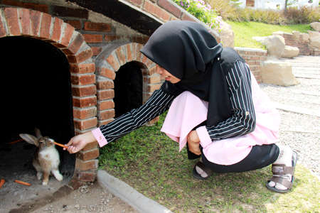 portrait of an asian woman feeding carrots to a rabbitの写真素材