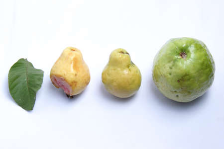 variations of guava fruit and leaves, from small to large guava, ripe guava, raw and rottenの写真素材