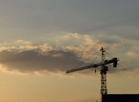 The crane