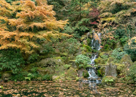 Portland, Oregon - 2018-11-20 - Waterfall inside the Japanese Tea Gardenの写真素材