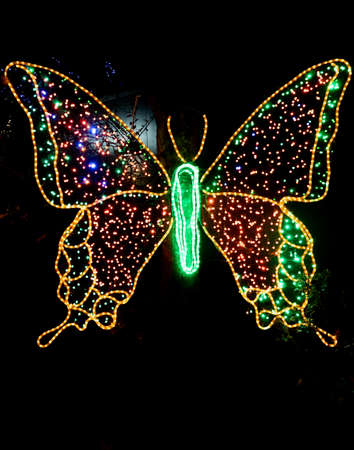 Portland, Oregon - 2018-11-21 - Light based butterfly at Oregon Zoo's annual winter festival, ZooLightsのeditorial素材