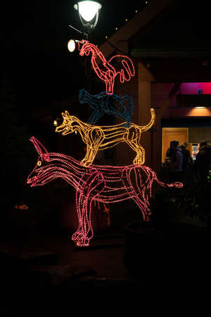 Portland, Oregon - 2018-11-21 - Light based animals stacked Oregon Zoo's annual winter festival, ZooLightsのeditorial素材