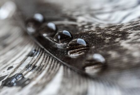 water drops in a row on the gray pheasant feather closeup macro on a stone surfaceの写真素材