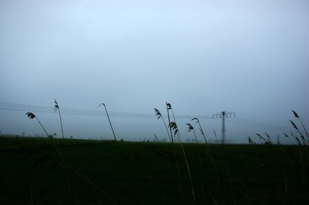 misty gloomy landscape cloudy sky field high voltage poleの写真素材