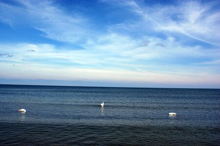 Polish Baltic Sea beautiful blue sea waves ocean horizon sand and beach blue sky white birds swans at seaの写真素材