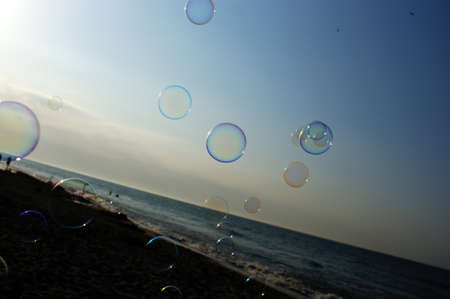 soap bubbles in the wind on the seashore on the sea