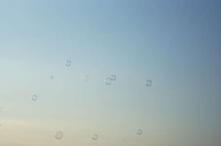 soap bubbles in a group on a background of the sunset sky