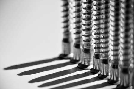 the screws stand in a row vertically on the white table top casting long shadows black and whiteの写真素材