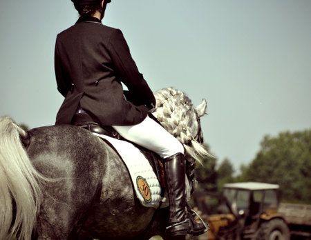 rider jockey on horse elegant from behind back horse exhibition