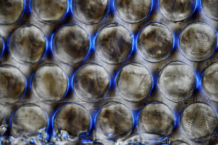 Colorful rainbow bubble wrap for protectionの写真素材