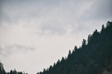 Mountain landscape, mountains covered with pine forestの写真素材