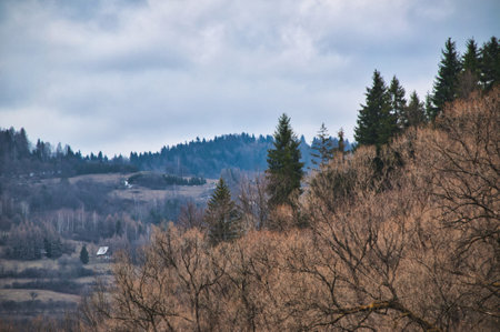 Landscape, winter scenery of the Tatra Mountainsの写真素材