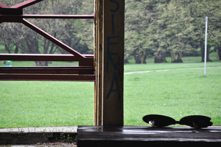 Abandoned old metal structure in a city park in Katowiceの写真素材